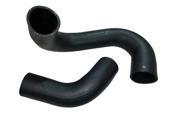 BUGIAD Fog Light Article number: BSP20520 cheaply