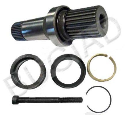 BUGIAD Stub Axle, differential Article number: BSP22911 cheaply