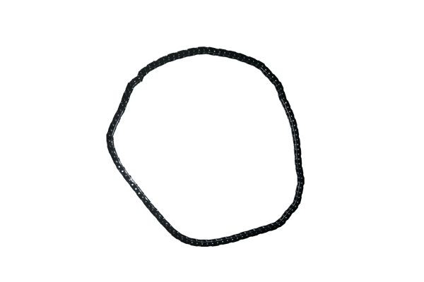 BUGIAD Timing Chain Article number: BSP24576 cheaply