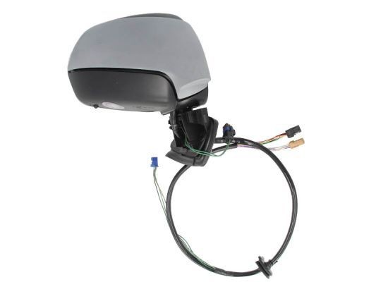 BLIC Wing mirror Article number: 5402-04-1191984 cheaply