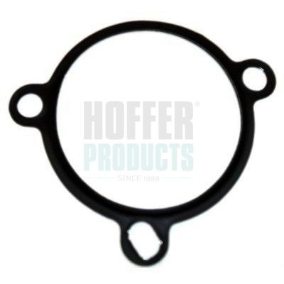 HOFFER Seal, EGR valve Article number: 9101604 cheaply