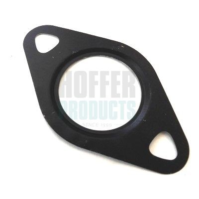 HOFFER Seal, EGR valve Article number: 9101610 cheaply