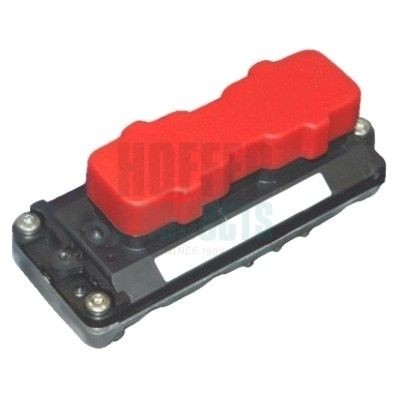 HOFFER Control Unit, engine management Article number: 7540012 cheaply