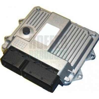 HOFFER Control Unit, engine management Article number: 7540024 cheaply