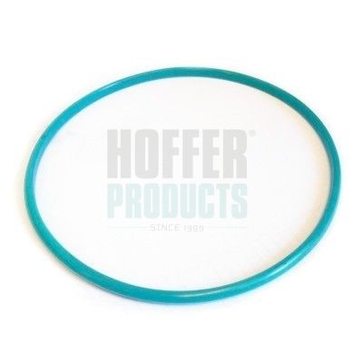 HOFFER Seal, fuel sender unit Article number: 750GSK01 cheaply