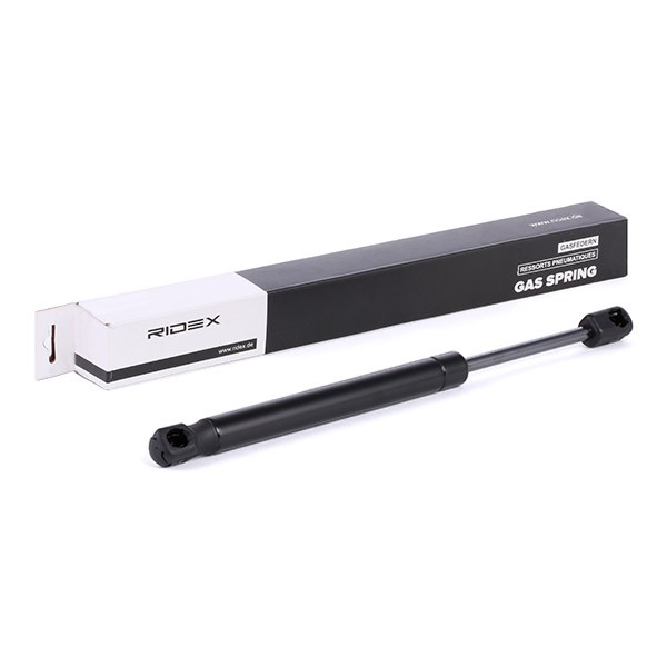 RIDEX Tailgate strut Article number: 219G0051 cheaply