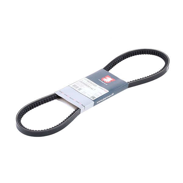 JP GROUP V-Belt Article number: 1118000300 cheaply