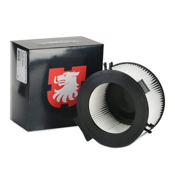 JP GROUP Pollen filter Article number: 1128101300 cheaply