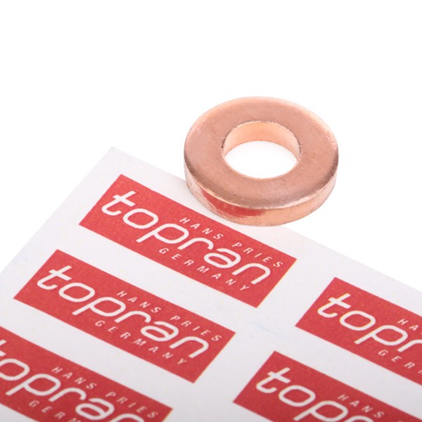 TOPRAN 208 245 Heat Shield, injection system SCÉNIC 1.9 dCi 102 PS Diesel 2003