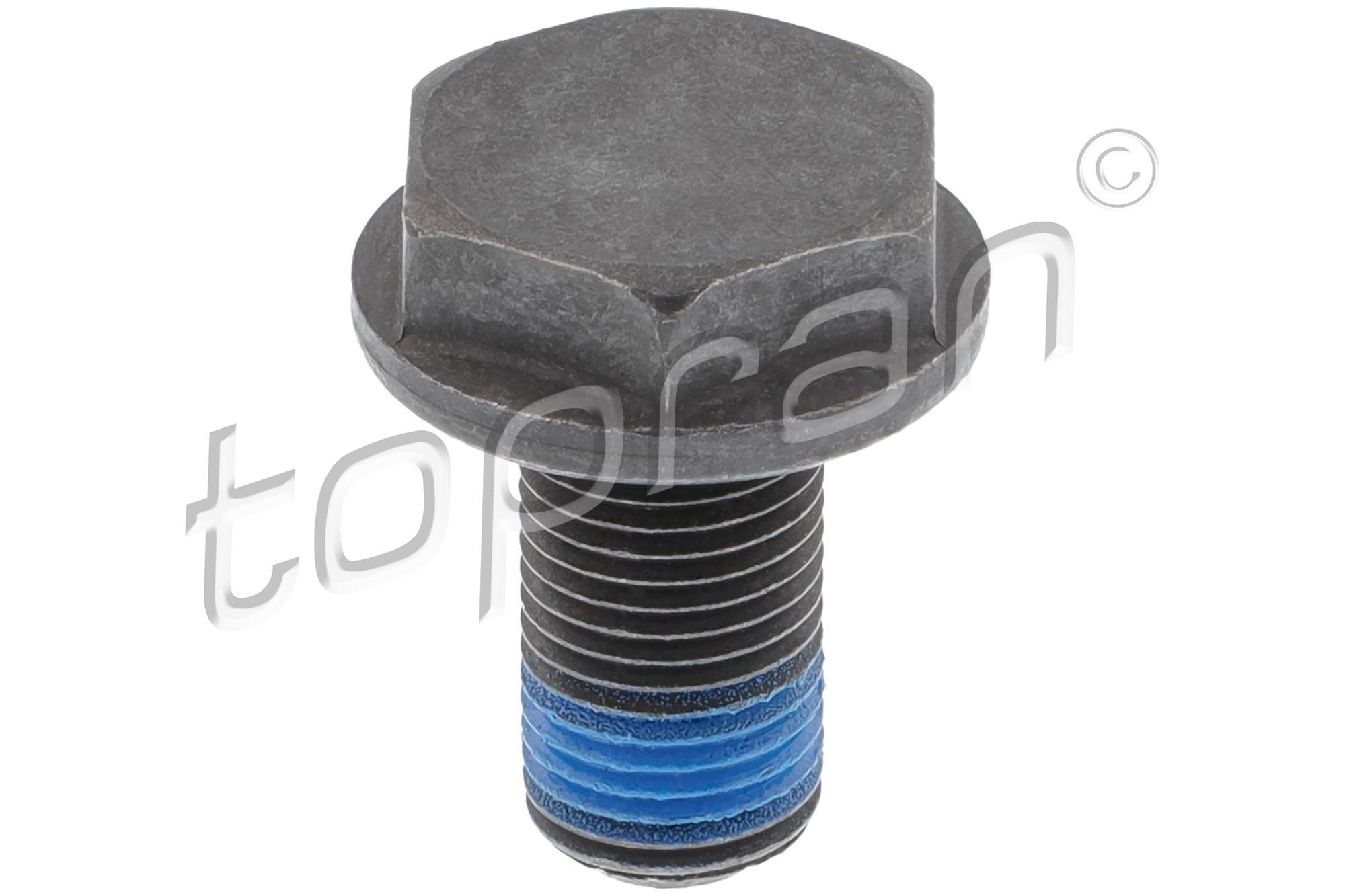 OEM Flywheel Bolt 110 260 from TOPRAN