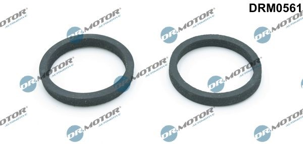 LIZARTE Air conditioning compressor Article number: 81.08.17.006 cheaply
