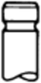 TRW Engine Component Inlet valve Article number: 25310 cheaply