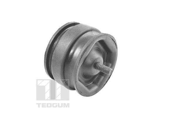 TEDGUM Paigutus, Mootor Artikli number: 00221175 soodsalt