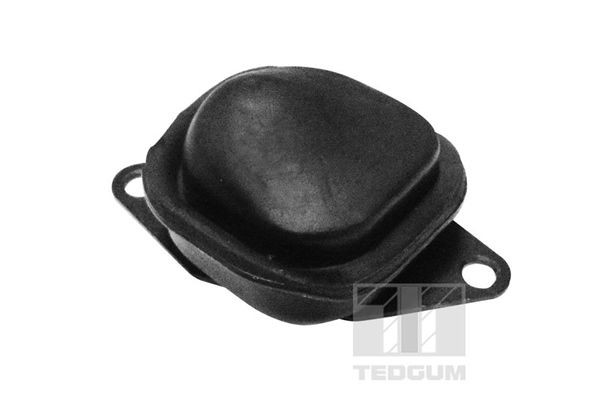 TEDGUM Bracket, axle body Article number: 00306238 cheaply
