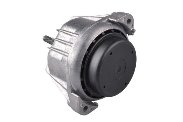TEDGUM Engine mount Article number: 00441738 cheaply