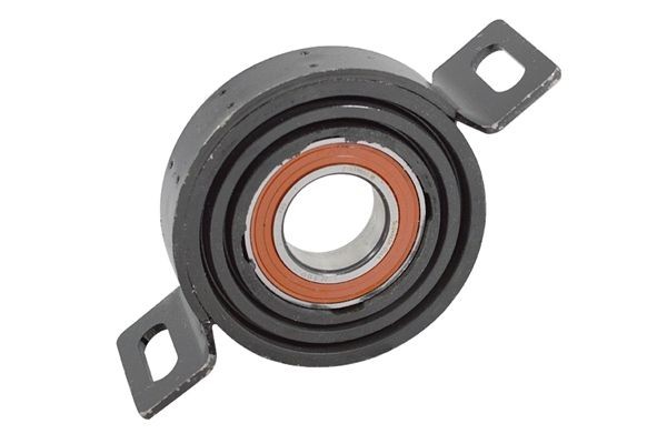 TEDGUM 00580732 Ophængning, drivaksel SCÉNIC 1.9 dCi RX4 102 HK Diesel 2003