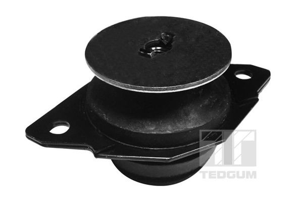 TEDGUM Mounting, manual transmission support Article number: 00725600 cheaply