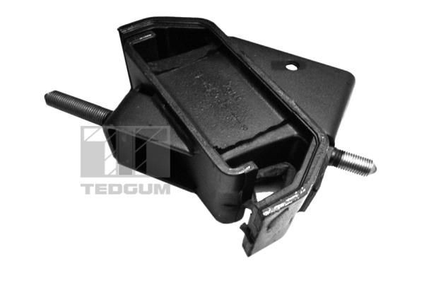 TEDGUM Paigutus, Mootor Artikli number: 00976918 soodsalt