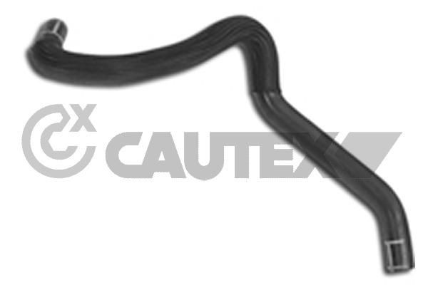 CAUTEX Radiator hose Article number: 031348 cheaply