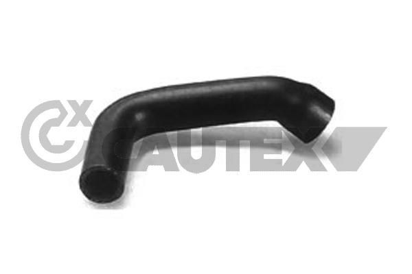 CAUTEX Radiator hose Article number: 036027 cheaply