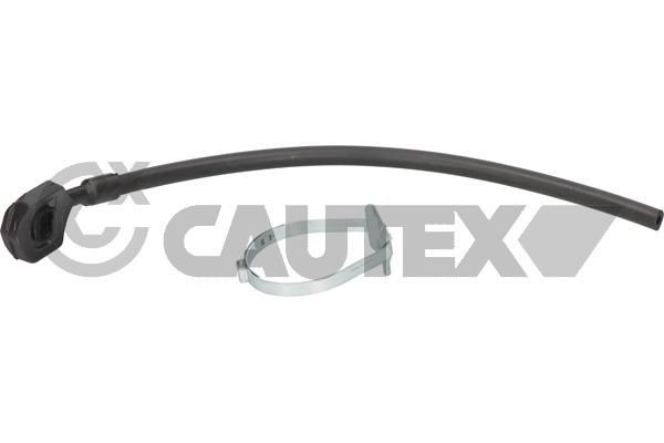 CAUTEX Bush, shock absorber Article number: 036241 cheaply