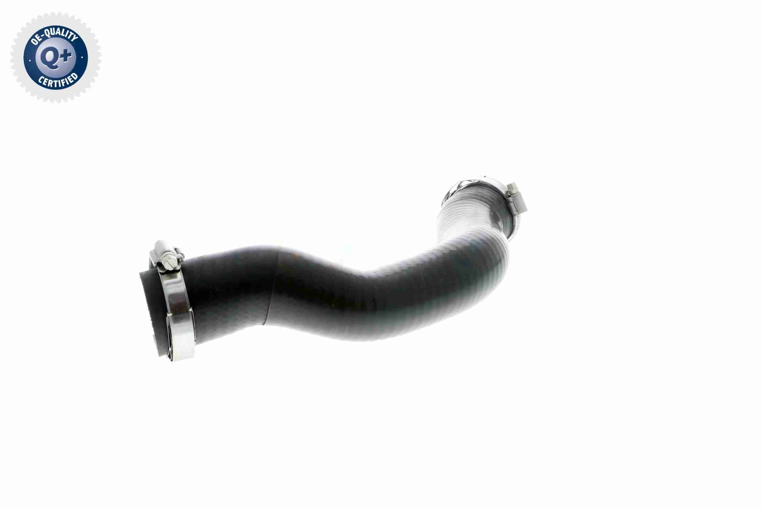 VAICO Holding Bracket Article number: V20-1211 cheaply
