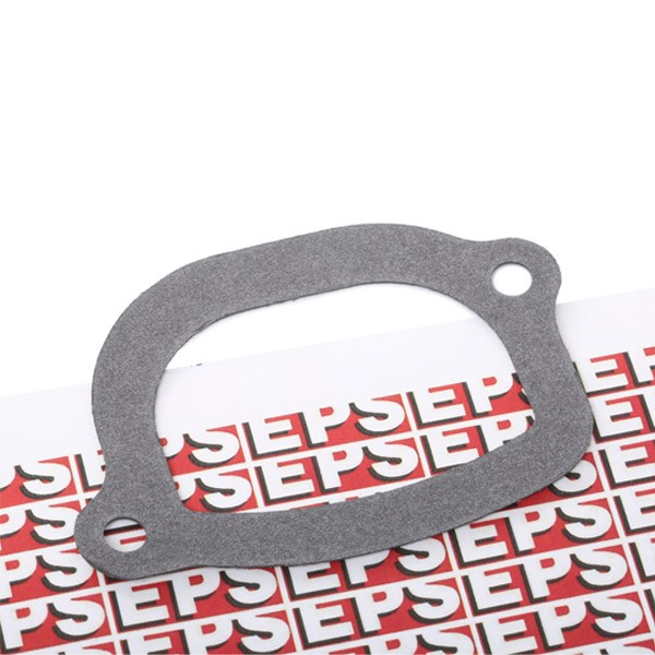 EPS Gasket, thermostat Article number: 1.890.505 cheaply