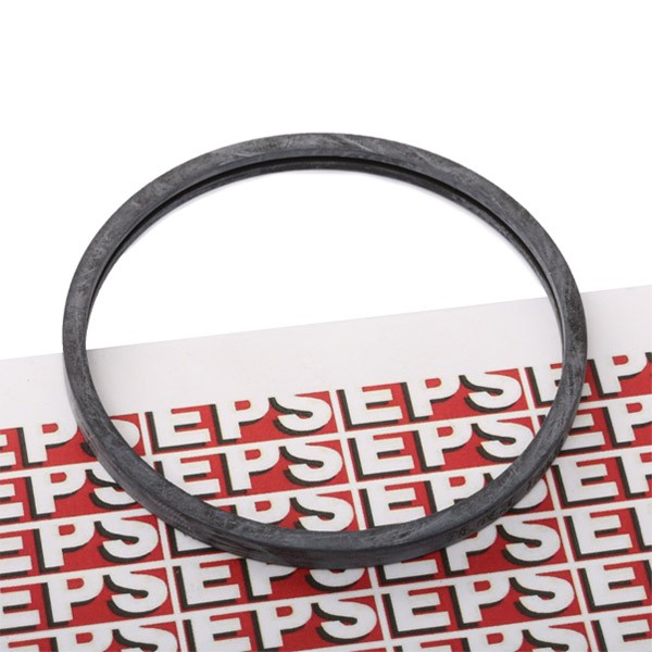 EPS Gasket, thermostat Article number: 1.890.528 cheaply