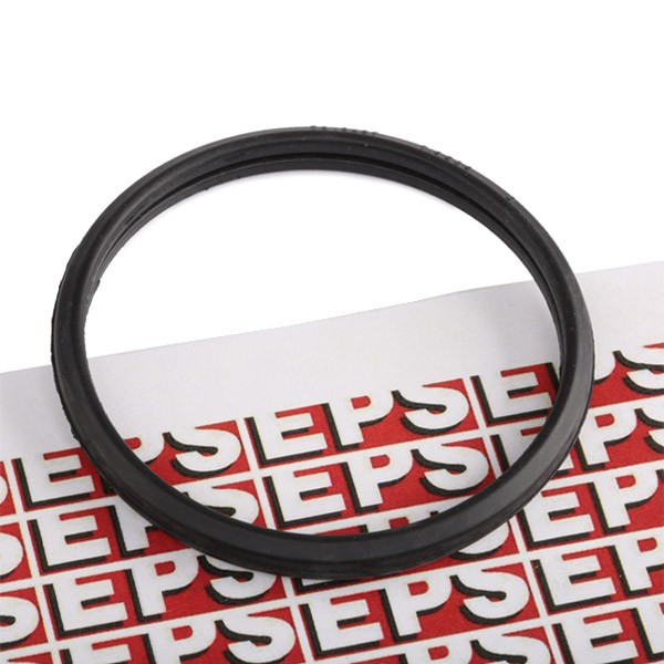 EPS Gasket, thermostat Article number: 1.890.569 cheaply