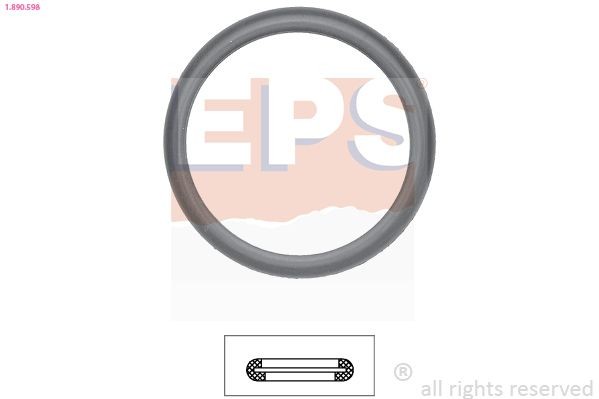 EPS Gasket, thermostat Article number: 1.890.598 cheaply