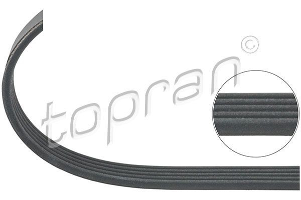 TOPRAN Serpentine belt Article number: 115 846 cheaply