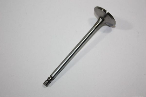 AUTOMEGA Inlet valve Article number: 130107310 cheaply