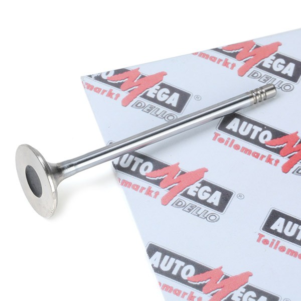 AUTOMEGA Exhaust valve Article number: 130107410 cheaply