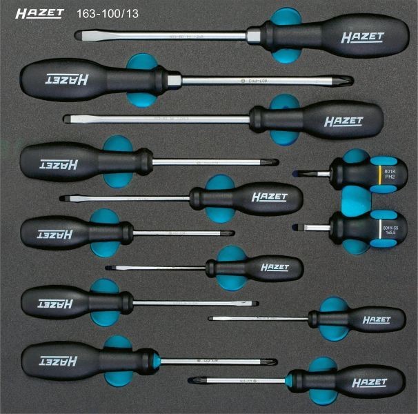 HAZET Screwdriver Set Article number: 163-100/13 cheaply