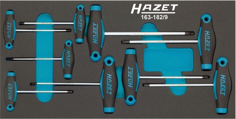 HAZET Screwdriver Set Article number: 163-182/9 cheaply