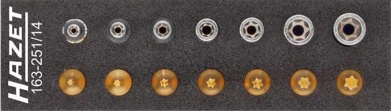 HAZET Tool Module Article number: 163-251/14 cheaply