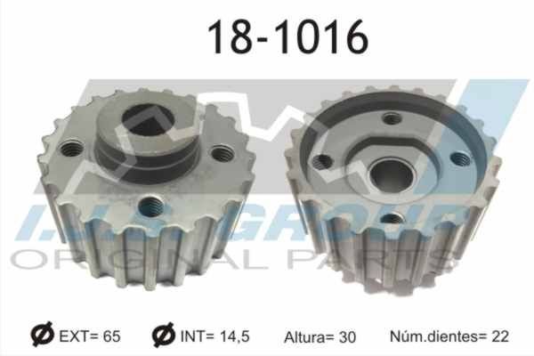 IJS GROUP Puleggia cinghia albero a gomiti Numero articolo: 17-1113 poco costoso