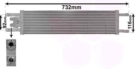VAN WEZEL Radiatore olio motore Numero articolo: 17013701 poco costoso