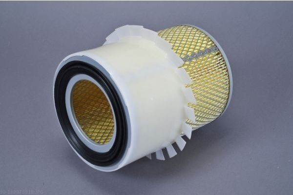 AUTOMEGA Air filter Article number: 180073810 cheaply