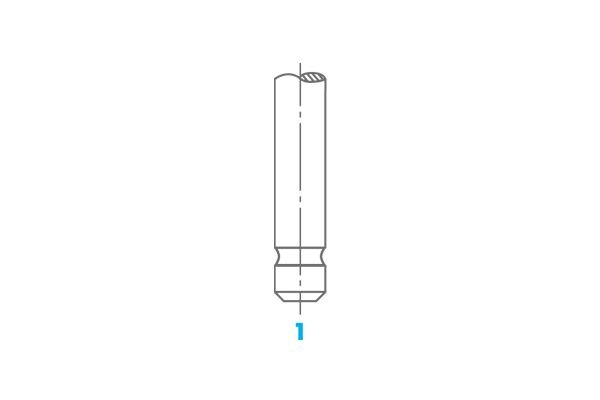 OSVAT Exhaust valve Article number: 1850 cheaply