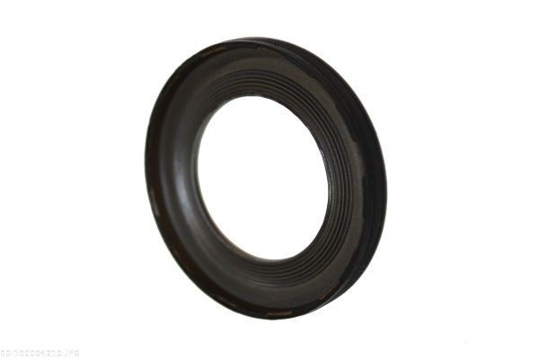 AUTOMEGA Crankshaft seal Article number: 190004210 cheaply