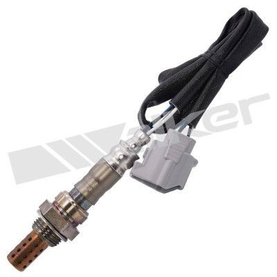 WALKER PRODUCTS Lambda sensor Article number: 250-241074 cheaply