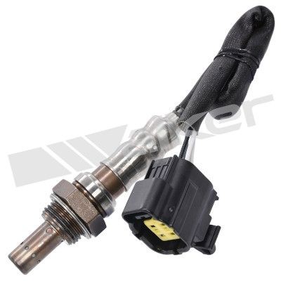 WALKER PRODUCTS Lambda andur Artikli number: 250-24629 soodsalt
