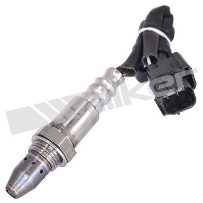 WALKER PRODUCTS Lambda sensor Article number: 250-54038 cheaply
