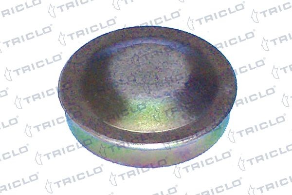 TRICLO Protection Lid, wheel hub Article number: 328705 cheaply