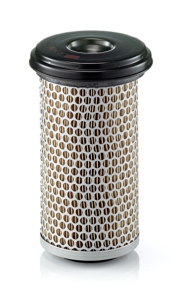 MANN-FILTER Air filter Article number: C 1176 cheaply