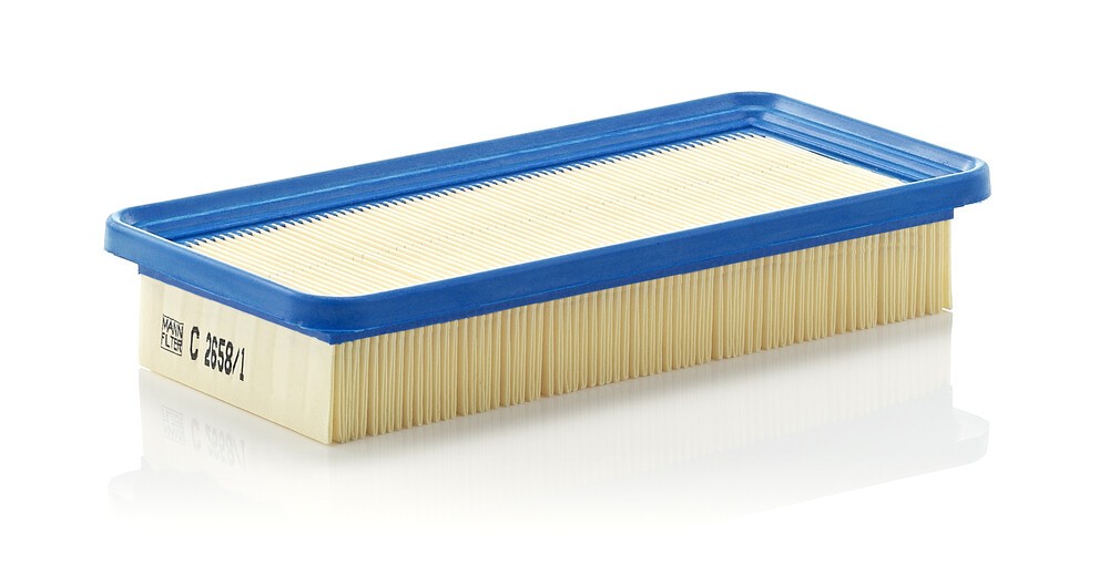 MANN-FILTER Air filter Article number: C 2658/1 cheaply
