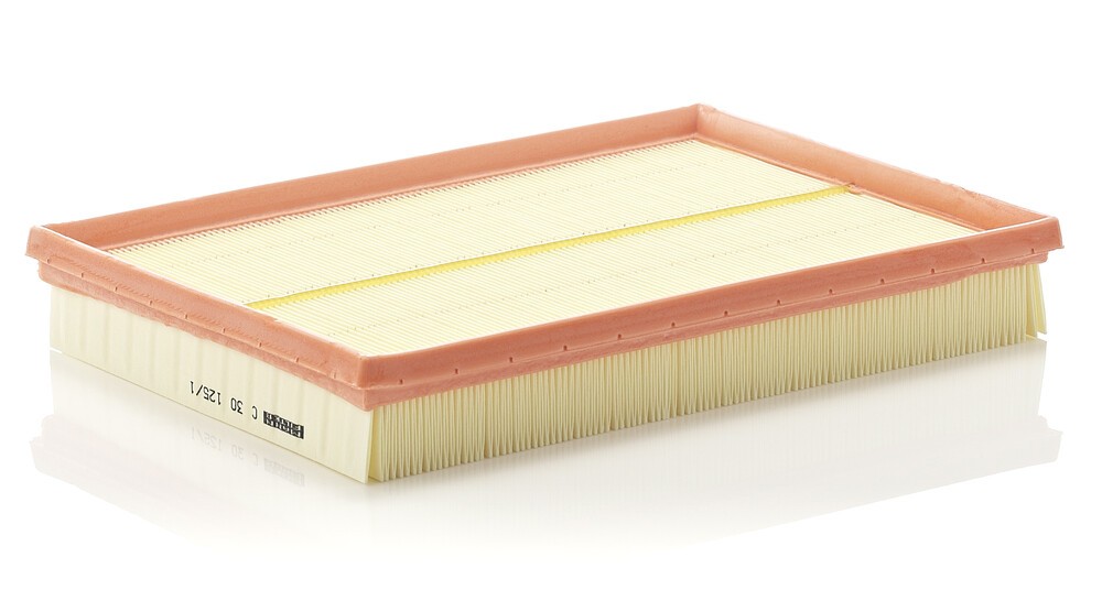 MANN-FILTER Luftfilter Varenummer: C 30 125/1 billige