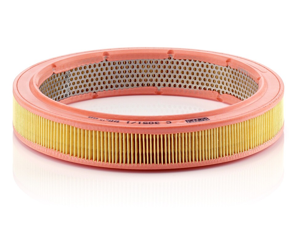 MANN-FILTER Oro filtras prekės numeris: C 3051/1 nebrangu
