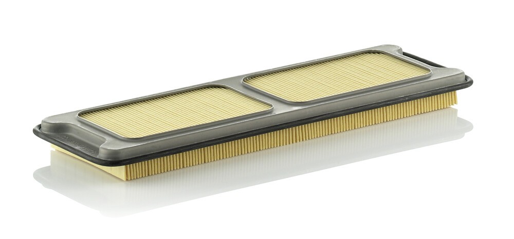 MANN-FILTER Air filter Article number: C 4373/1 cheaply